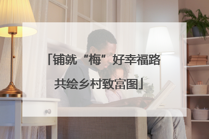 铺就“梅”好幸福路 共绘乡村致富图